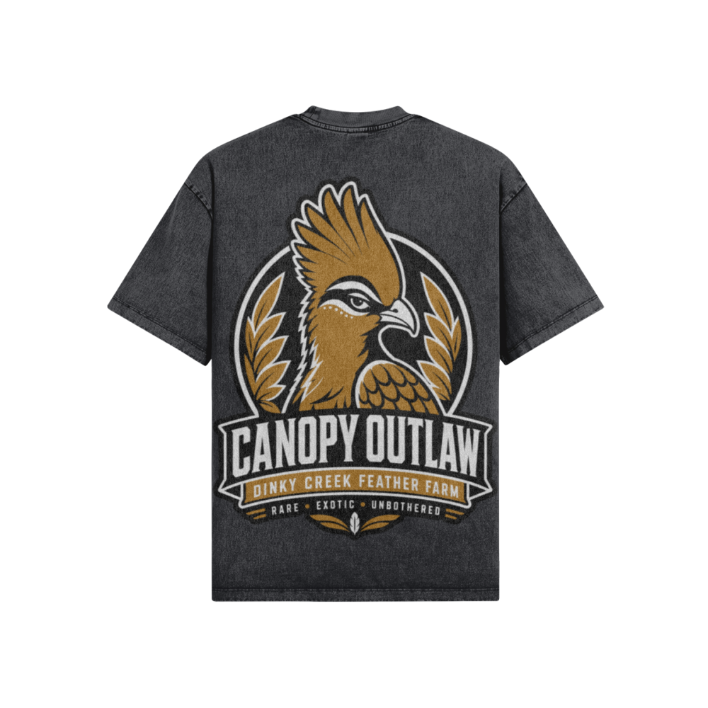 Canopy Outlaw Snow Oversized Wash T Shirt