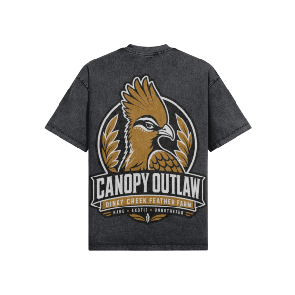 Canopy Outlaw Snow Oversized Wash T Shirt