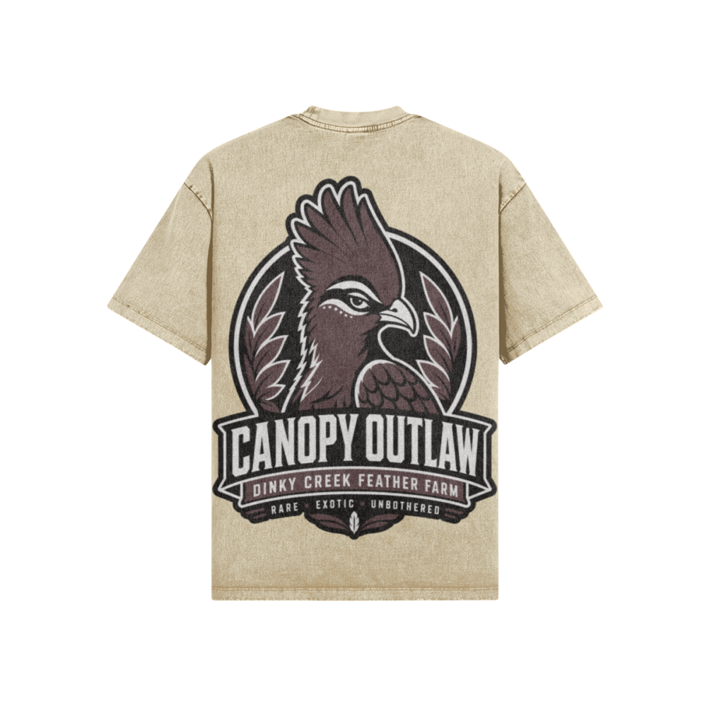Canopy Outlaw Oversized Snow Wash Tee