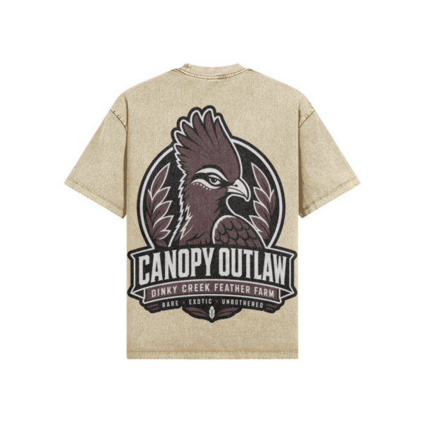 Canopy Outlaw Oversized Snow Wash Tee
